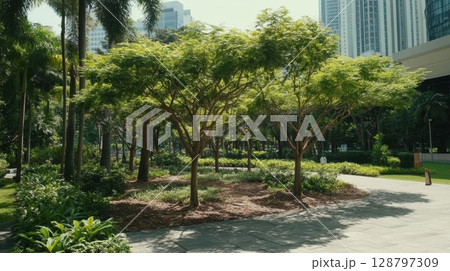Trees give Shade on a hot Day at a City Park and Green Space. 128797309