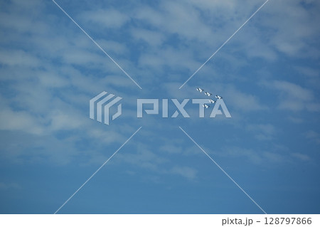 傘型体系のブルーインパルス　宮城 128797866