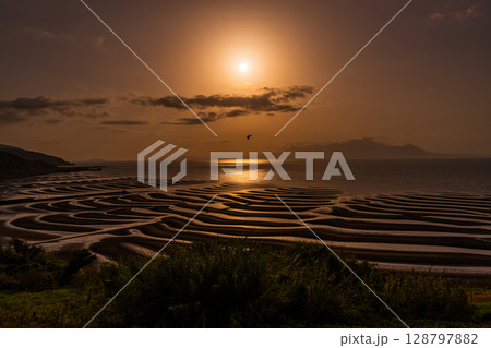 《熊本県》おこしき海岸・干潮の夕暮れ 128797882