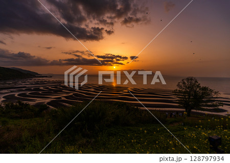《熊本県》おこしき海岸・干潮の夕暮れ 《熊本県》おこしき海岸・干潮の夕暮れ 128797934