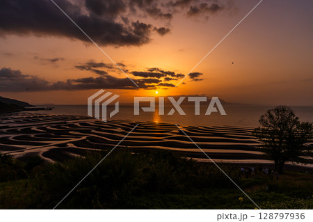 《熊本県》おこしき海岸・干潮の夕暮れ 128797936