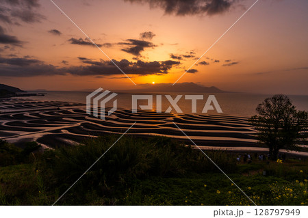 《熊本県》おこしき海岸・干潮の夕暮れ 128797949