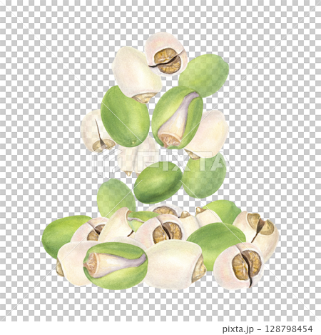 Healthy lotus seeds falling into pile watercolor illustration isolated background. Makhana nuts. Protein rich superfood for vegan diet label, mindful eating packaging, nutrition blog 128798454