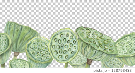 Watercolor green lotus seedpods horizontal banner isolated background. Tropical aquatic plant pod illustration. Water Lily border for cosmetic, ayurveda products, spa center label, greeting card. 128798458
