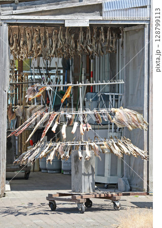 回転式干物製造機　電動干物製造機　干物　一夜干し 128799113