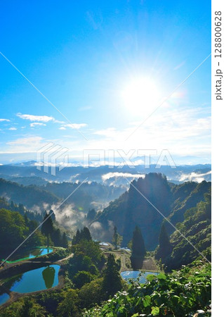 朝の山古志一本杉の棚田棚池（新潟県） 128800628