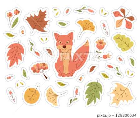 A set of stickers with a cute fox, leaves and berries. Color flat illustration. A set of stickers with a cute fox, leaves and berries. Color flat illustration. 128800634