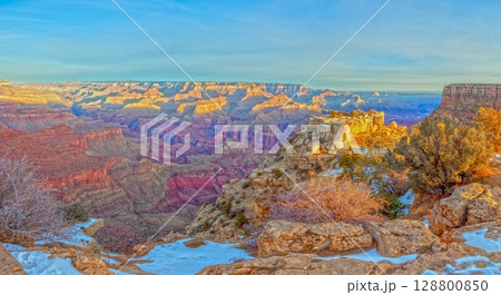 Wide Grand Canyon panorama with snowy rim 128800850