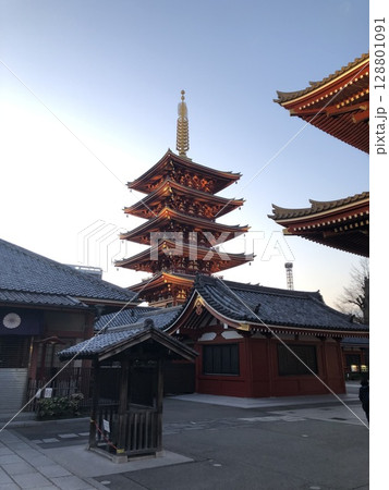 五重塔を下から見上げる 128801091