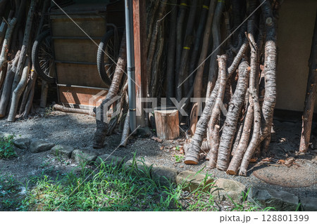 切り落とした桜の木 128801399