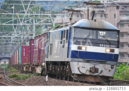 東海道本線 真鶴 JR貨物 EF210-151(新鶴見) 東海道本線 真鶴 JR貨物 EF210-151(新鶴見) 128801713