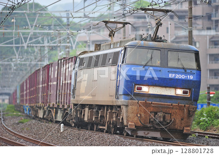 東海道本線 真鶴 JR貨物 EF200-19(吹田) 東海道本線 真鶴 JR貨物 EF200-19(吹田) 128801728