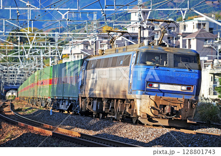 東海道本線 真鶴 JR貨物 EF200-19(吹田) 東海道本線 真鶴 JR貨物 EF200-19(吹田) 128801743