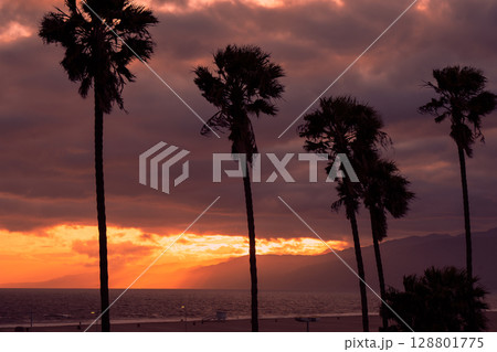 アメリカ　ロサンゼルスの街並みと夕焼け　サンタモニカ 128801775