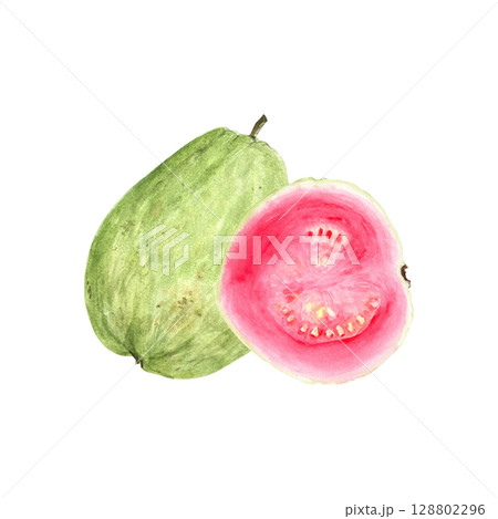 Whole green guava fruit with pink slice. Hand painted textured watercolor composition isolated on white. Perfect for summer cards, label, eco-friendly packaging, kitchen decor, tropical fruit branding 128802296
