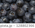 ブルーベリー ブルーベリー 128802366