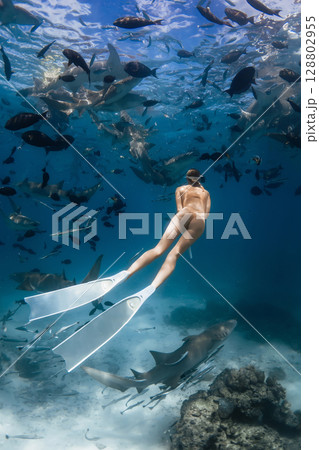 Woman free diver underwater in a tropical water with nurse sharks 128802955