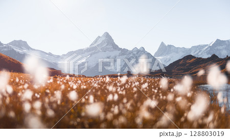 Clear weather at Bachalpsee reveals stunning Swiss peaks 128803019