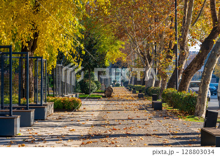 The beautiful landscape of autumn Tbilisi. Recreational park The beautiful landscape of autumn Tbilisi. Recreational park 128803034