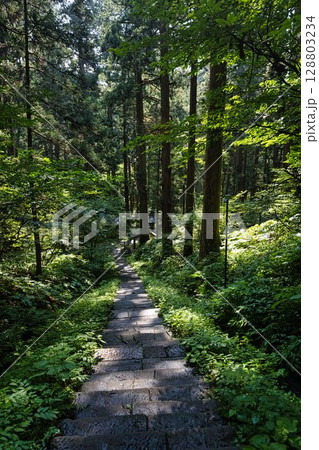 羽黒山参道 128803234