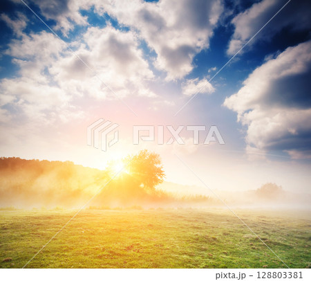 Fantastic foggy meadow Fantastic foggy meadow 128803381