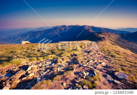 Fantastic pink flowers 128803390