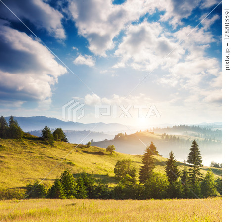 Beautiful countryside landscape 128803391