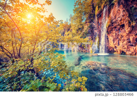 Plitvice Lakes National Park 128803466