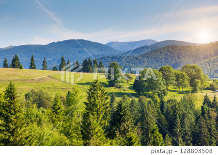 Summer landscape in mountains 128803508