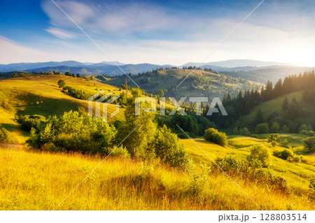 Summer landscape in mountains Summer landscape in mountains 128803514