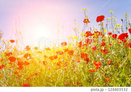 Beautiful countryside landscape Beautiful countryside landscape 128803532