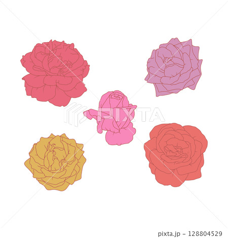Hand drawn line art pastel pink and purple rose flowers set isolated on white background 128804529