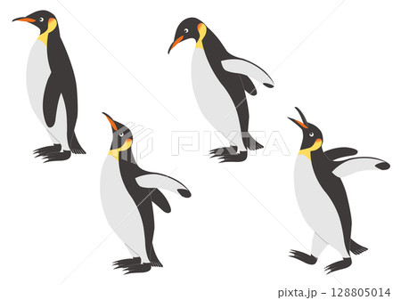 横向きの歩いたり下を覗きこむコウテイペンギンのイラストのセット 128805014