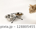 The red cat approaches the metal bowls of dry cat food and water. The concept of food for animals. 128805455