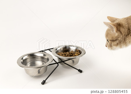 The red cat approaches the metal bowls of dry cat food and water. The concept of food for animals. 128805455