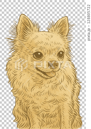 奇瓦瓦 奇瓦瓦 128805722