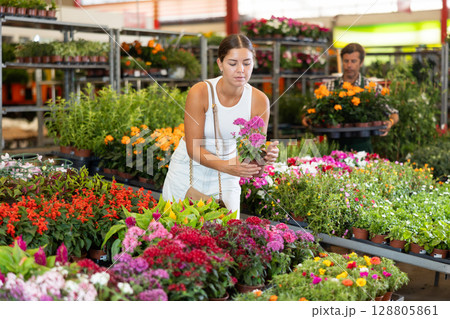 Young girl holding flower-pot with pentas in large plants market 128805861
