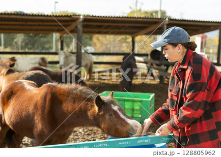 Skilled young female worker in plaid shirt standing close to paddock with foals in countryside horse club 128805962