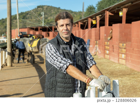 Portrait of confident horseman in plaid shirt posing on yard of horse riding club on sunny day of autumn 128806026