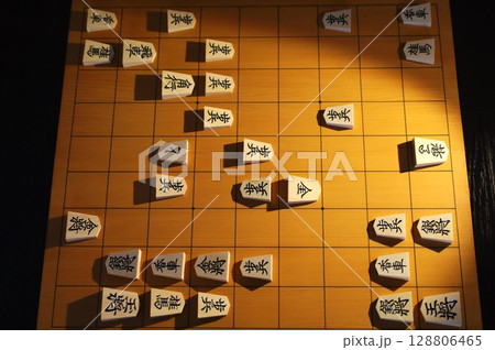 第96期棋聖戦第2局投了棋譜の盤面 第96期棋聖戦第2局投了棋譜の盤面 128806465