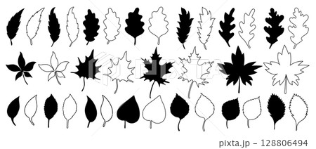 Big set of black silhouettes and outlines of various vector fall foliage arranged in a row of maple leaves in hand drawn style.  128806494