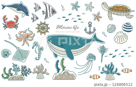 海洋生物たちのベクターイラストセット 128806512