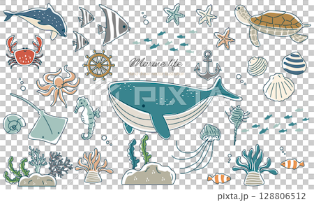 海洋生物向量插圖集 128806512