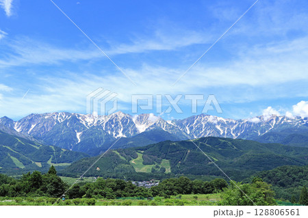 白馬の夏 野平から望む白馬連峰 白馬の夏 野平から望む白馬連峰 128806561