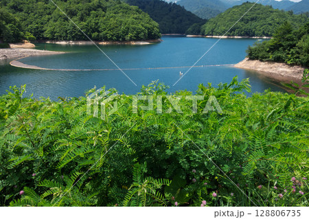 矢木沢ダムから眺める夏の奥利根湖 群馬県みなかみ町 矢木沢ダムから眺める夏の奥利根湖 群馬県みなかみ町 128806735