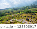 Rice terraces covering the mountainside in Pu Luong, Vietnam 128806917