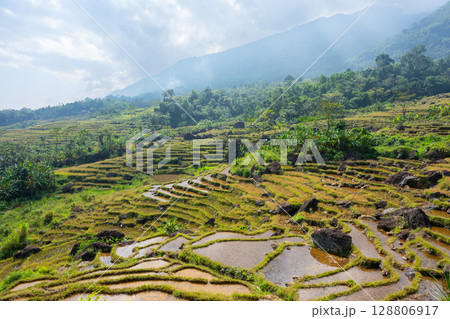 Rice terraces covering the mountainside in Pu Luong, Vietnam 128806917