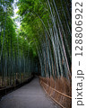 Winding path through lush green bamboo forest in Arashiyama, Kyoto, Japan 128806922