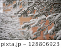 Snow covering pine tree branches in winter urban setting 128806923
