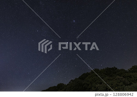 冬の星空 昇るオリオン座とおうし座 冬の星空 昇るオリオン座とおうし座 128806942